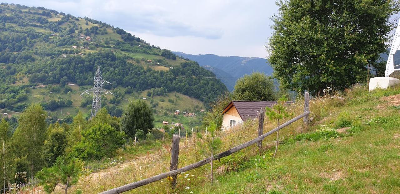 Pensiunea Petru Sugag Exterior photo