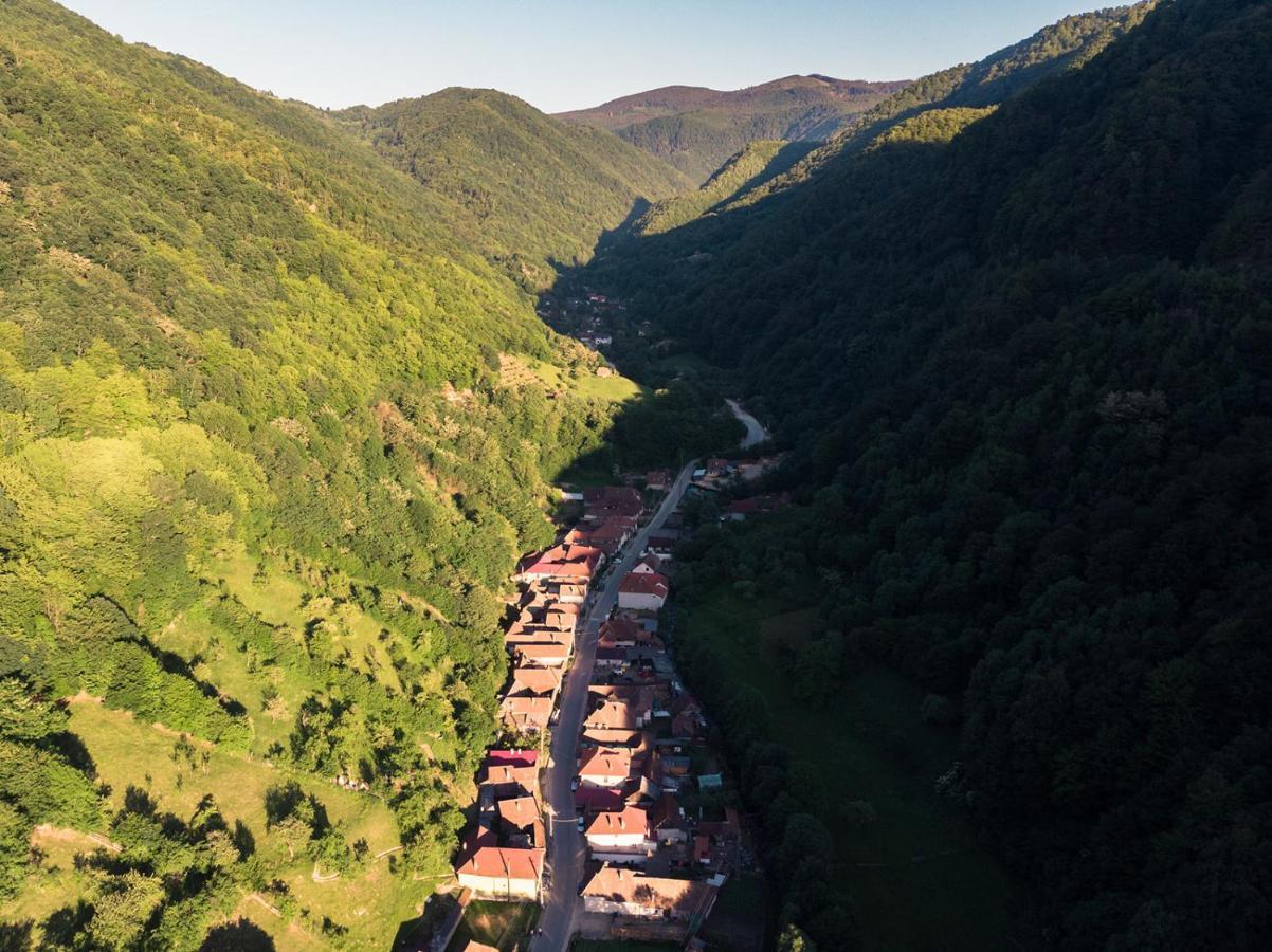 Pensiunea Petru Sugag Exterior photo