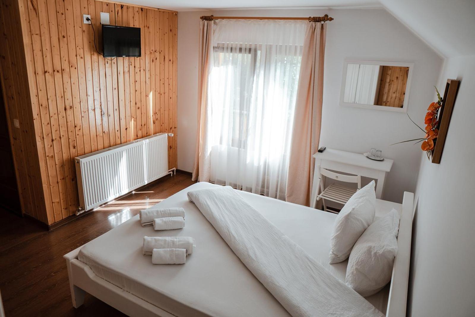 Pensiunea Petru Sugag Room photo