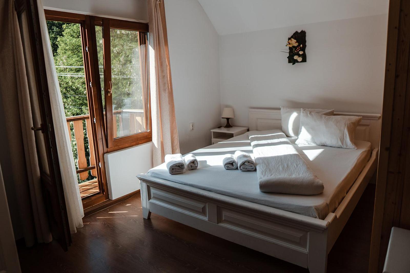 Pensiunea Petru Sugag Room photo