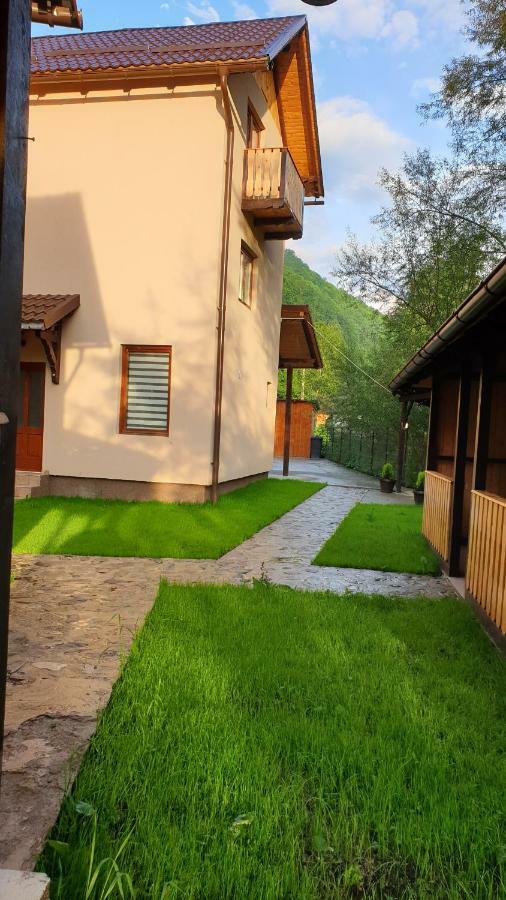 Pensiunea Petru Sugag Exterior photo